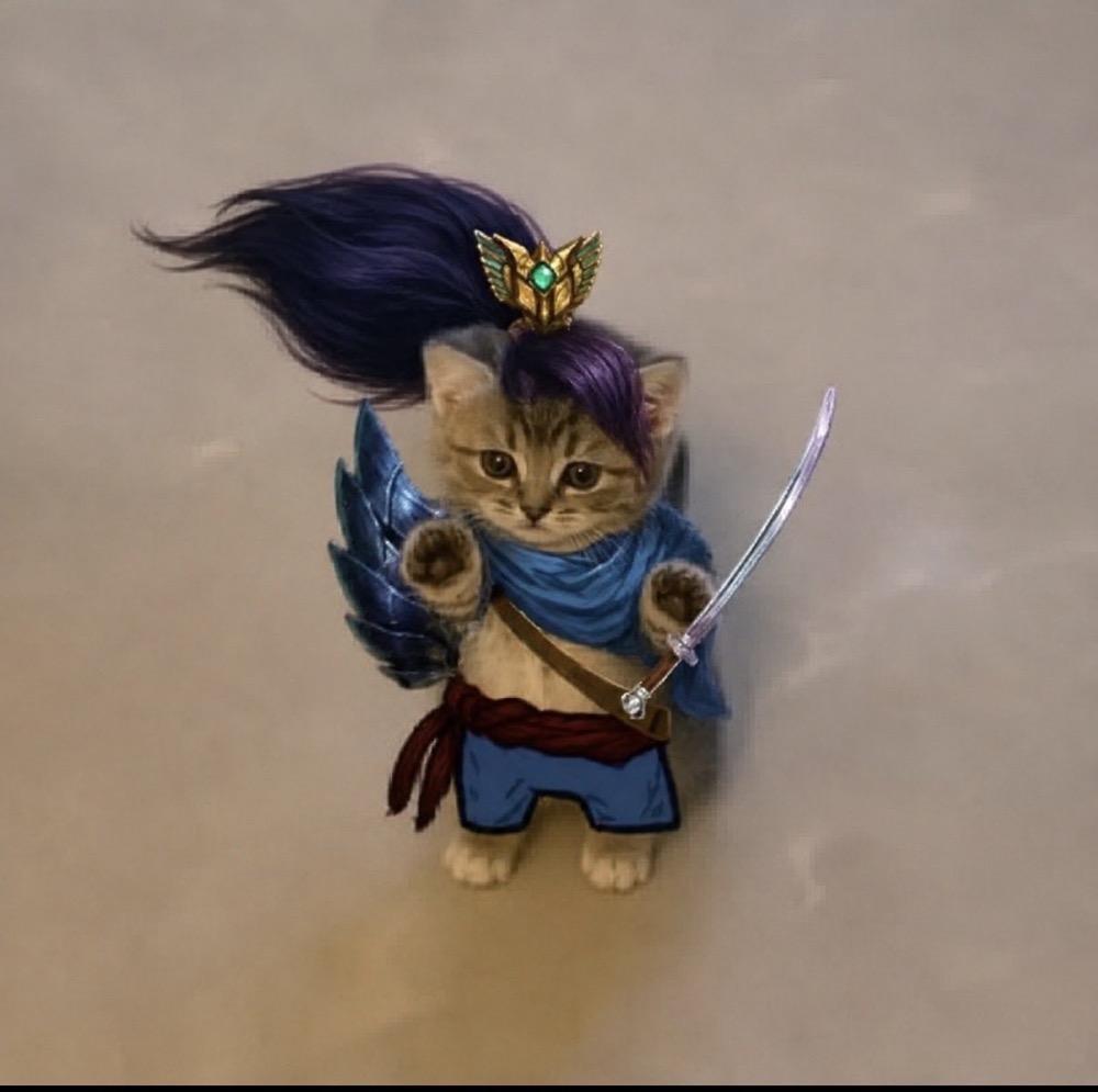 wiwiwi kitten as a samurai with a katana